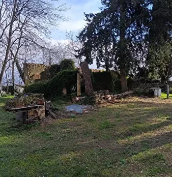 Foto annuncio 6