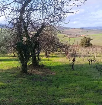 Foto annuncio 9