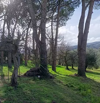 Foto annuncio 4