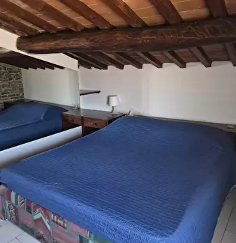 Foto annuncio 6