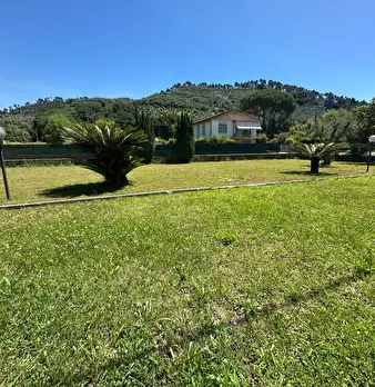 Foto annuncio 24