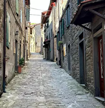 Foto annuncio 10