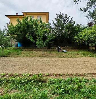 Foto annuncio 18