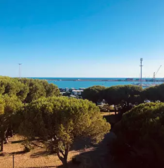 Foto annuncio 14