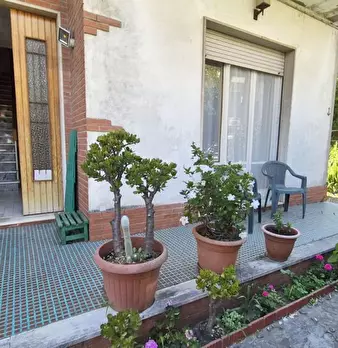 Foto annuncio 9