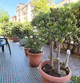 Foto annuncio 4