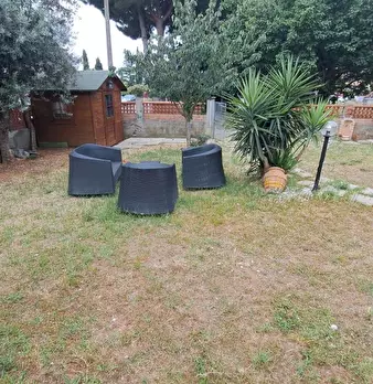 Foto annuncio 6