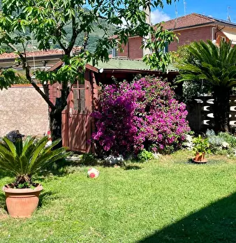Foto annuncio 5