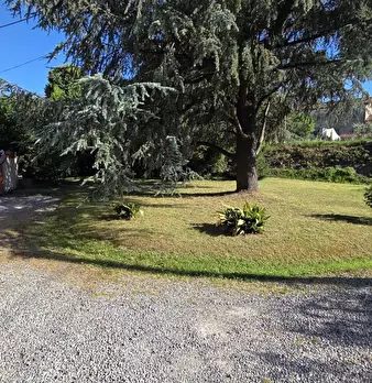 Foto annuncio 26