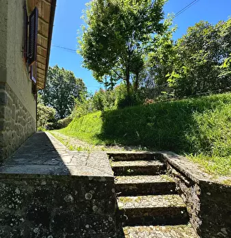 Foto annuncio 26