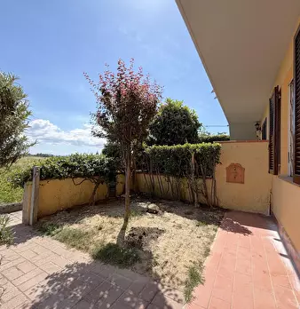 Foto annuncio 31