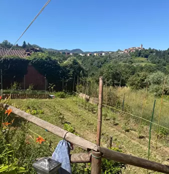 Foto annuncio 5