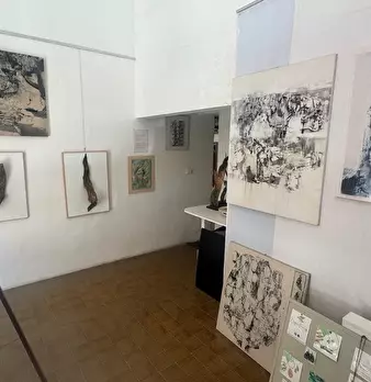Foto annuncio 12