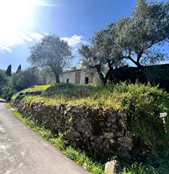 Foto annuncio 1