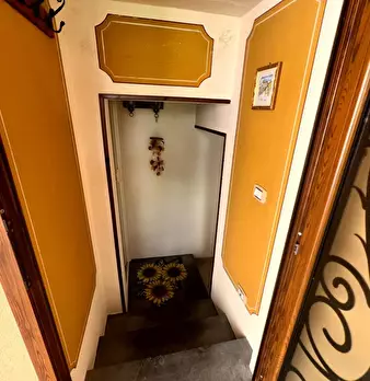 Foto annuncio 30