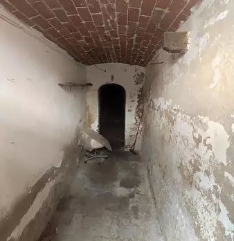 Foto annuncio 10