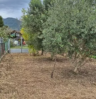 Foto annuncio 3