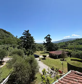Foto annuncio 6
