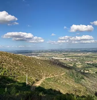 Foto annuncio 24