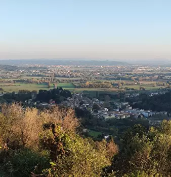 Foto annuncio 25