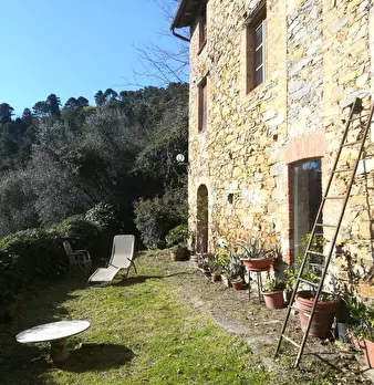 Foto annuncio 15