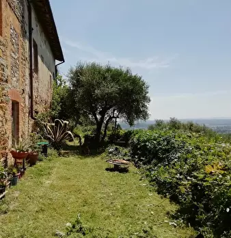 Foto annuncio 2