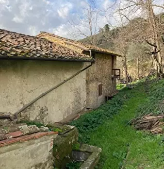 Foto annuncio 16
