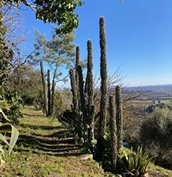 Foto annuncio 18