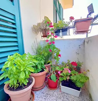 Foto annuncio 9