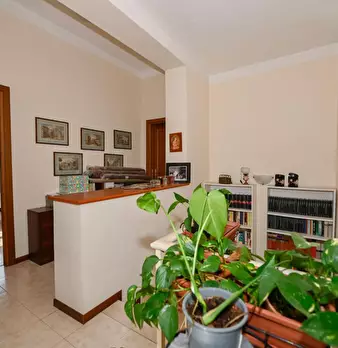 Foto annuncio 31