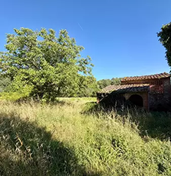 Foto annuncio 9