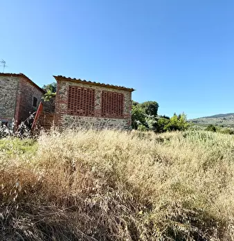 Foto annuncio 30