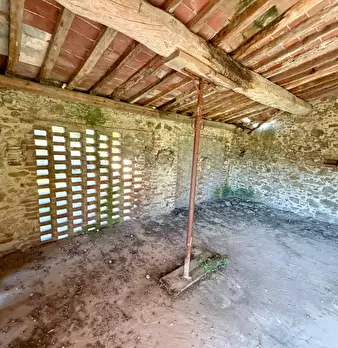 Foto annuncio 14