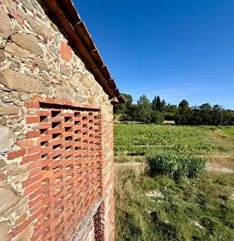Foto annuncio 20