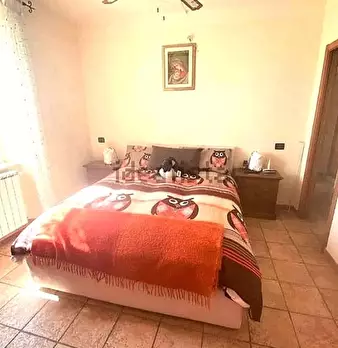 Foto annuncio 7