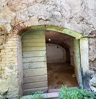 Foto annuncio 21