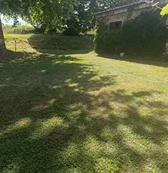 Foto annuncio 8