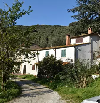 Foto annuncio 25