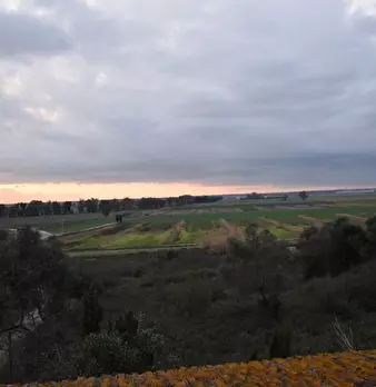 Foto annuncio 31