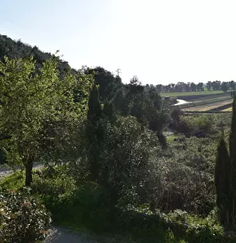 Foto annuncio 35