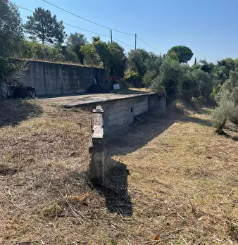 Foto annuncio 3