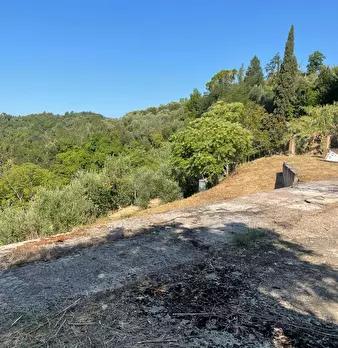 Foto annuncio 8
