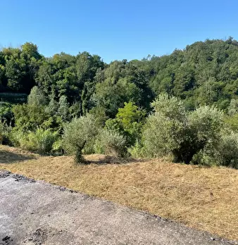 Foto annuncio 6