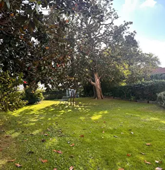 Foto annuncio 34