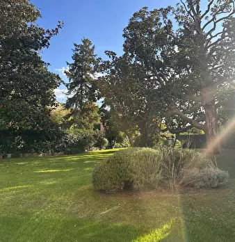 Foto annuncio 33