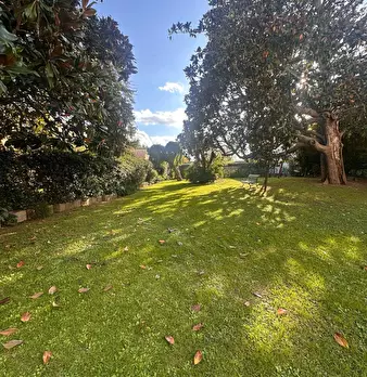 Foto annuncio 37