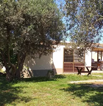 Foto annuncio 5