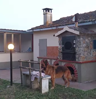 Foto annuncio 4