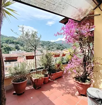 Foto annuncio 31