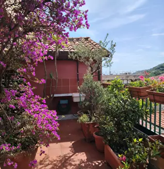 Foto annuncio 33
